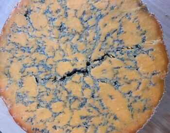 Shropshire Blue